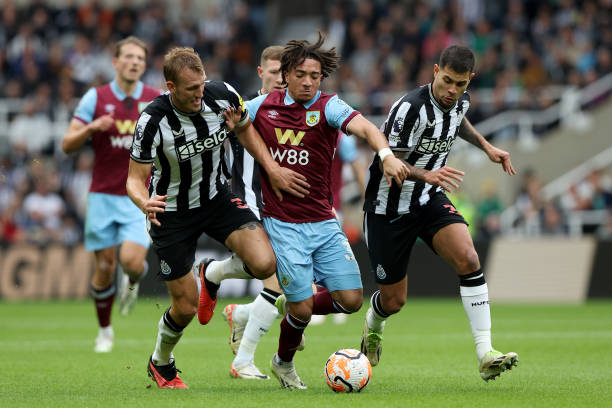 和年轻球员 和年轻球员